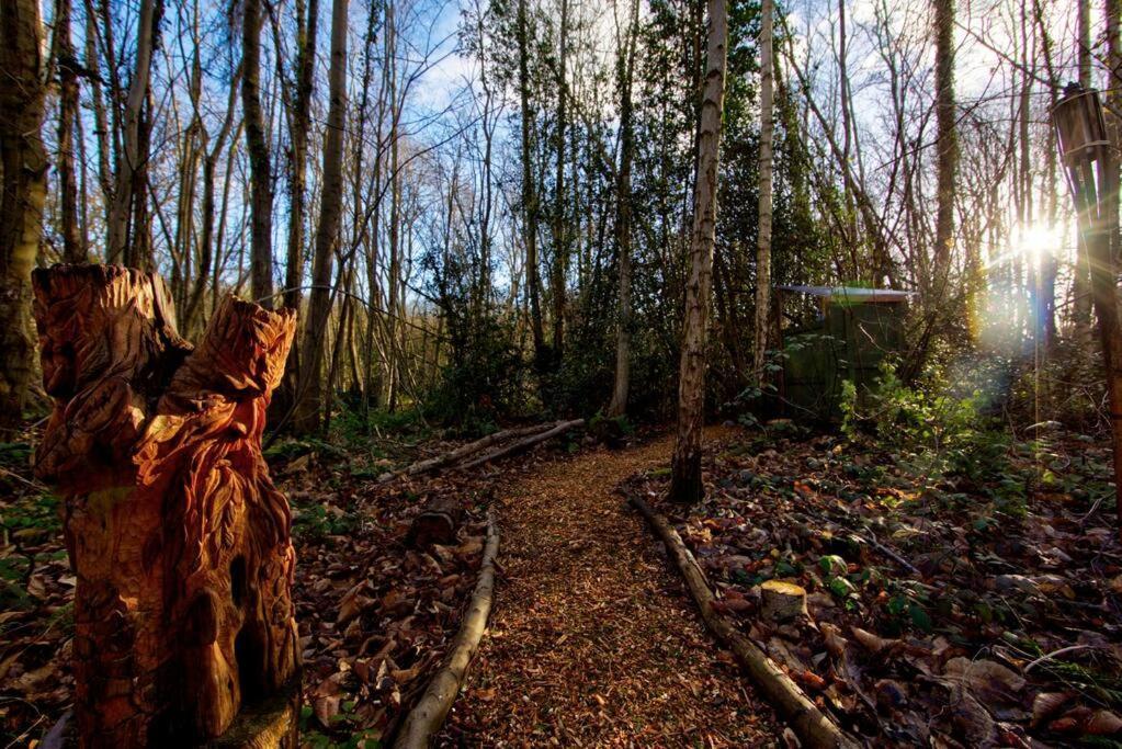 Cosy Woodland Romantic Retreat With Log Fires And Nature Sturry Esterno foto