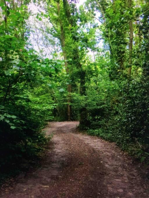 Cosy Woodland Romantic Retreat With Log Fires And Nature Sturry Esterno foto