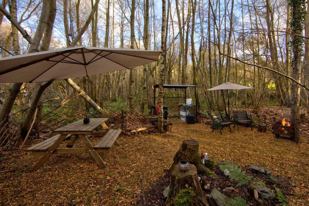 Cosy Woodland Romantic Retreat With Log Fires And Nature Sturry Esterno foto