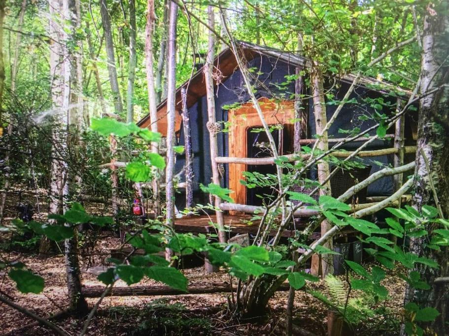 Cosy Woodland Romantic Retreat With Log Fires And Nature Sturry Esterno foto