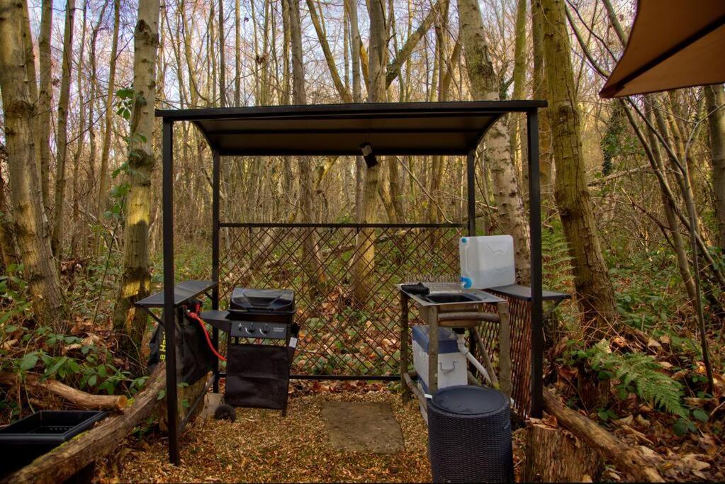 Cosy Woodland Romantic Retreat With Log Fires And Nature Sturry Esterno foto
