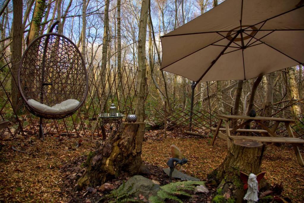 Cosy Woodland Romantic Retreat With Log Fires And Nature Sturry Esterno foto