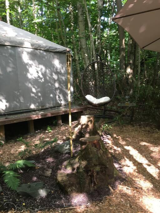 Cosy Woodland Romantic Retreat With Log Fires And Nature Sturry Esterno foto
