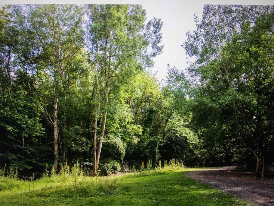 Cosy Woodland Romantic Retreat With Log Fires And Nature Sturry Esterno foto