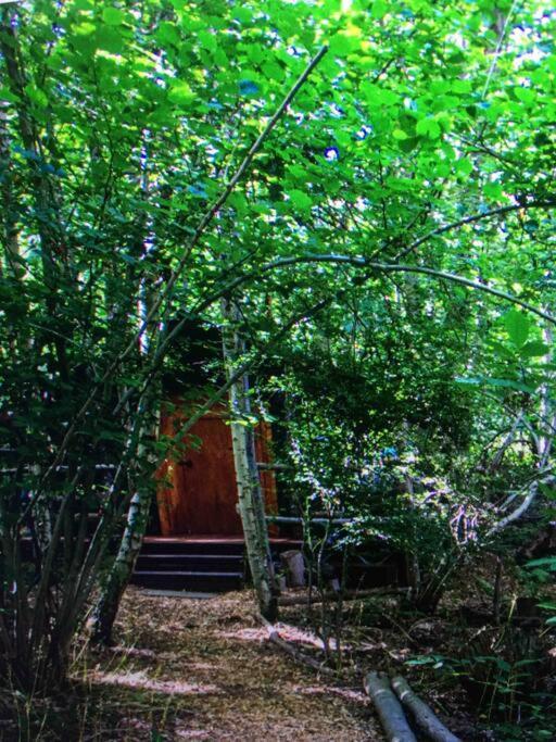 Cosy Woodland Romantic Retreat With Log Fires And Nature Sturry Esterno foto