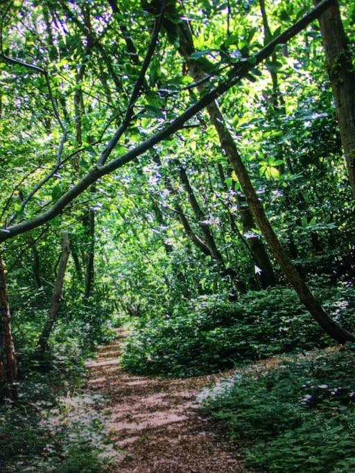 Cosy Woodland Romantic Retreat With Log Fires And Nature Sturry Esterno foto