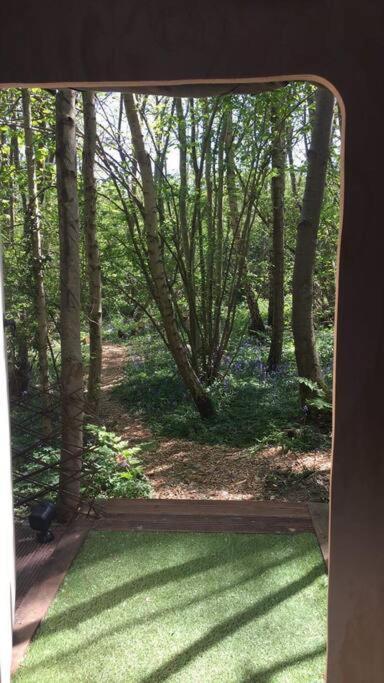 Cosy Woodland Romantic Retreat With Log Fires And Nature Sturry Esterno foto