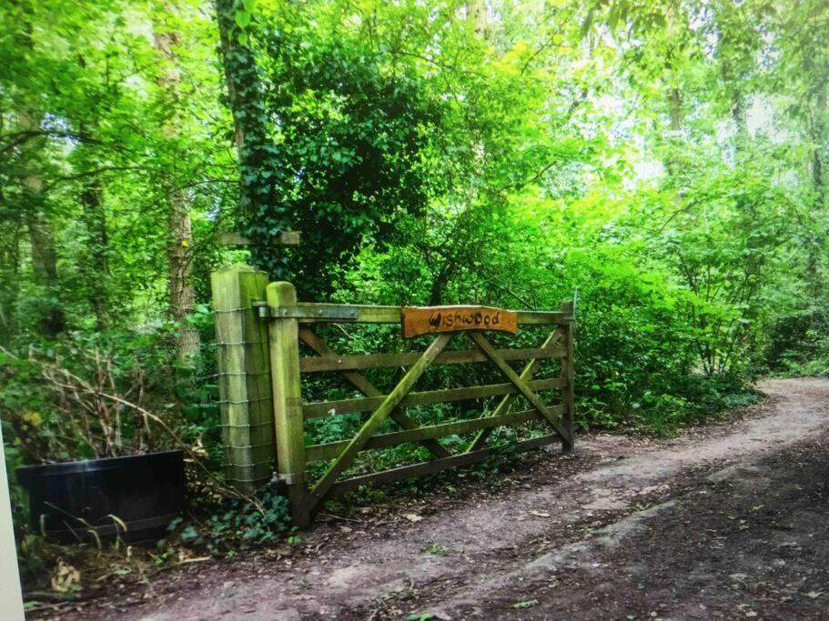 Cosy Woodland Romantic Retreat With Log Fires And Nature Sturry Esterno foto