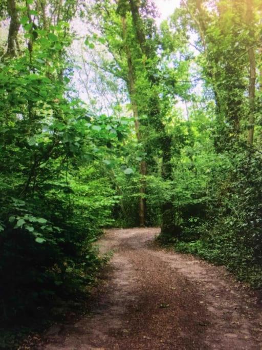 Cosy Woodland Romantic Retreat With Log Fires And Nature Sturry Esterno foto