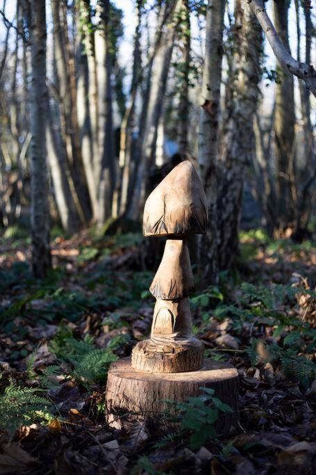 Cosy Woodland Romantic Retreat With Log Fires And Nature Sturry Esterno foto