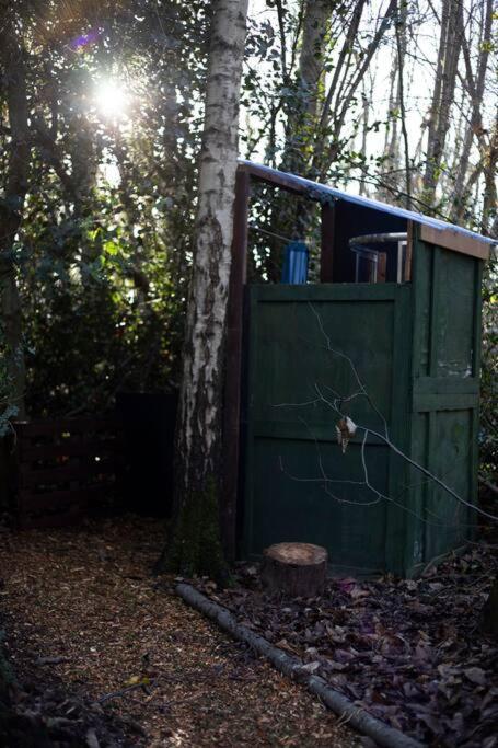 Cosy Woodland Romantic Retreat With Log Fires And Nature Sturry Esterno foto