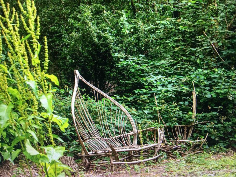 Cosy Woodland Romantic Retreat With Log Fires And Nature Sturry Esterno foto