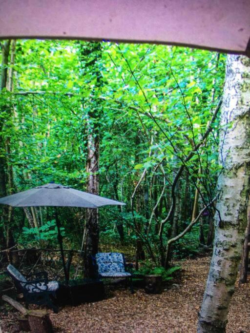 Cosy Woodland Romantic Retreat With Log Fires And Nature Sturry Esterno foto