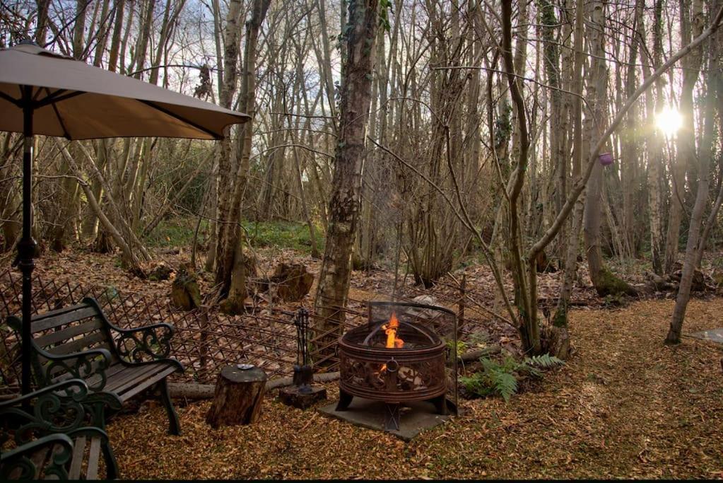 Cosy Woodland Romantic Retreat With Log Fires And Nature Sturry Esterno foto