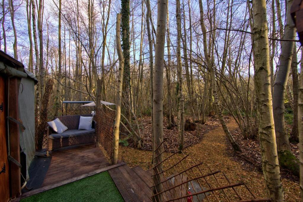 Cosy Woodland Romantic Retreat With Log Fires And Nature Sturry Esterno foto